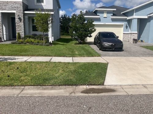 Lawn Services Brandon Fl 1977