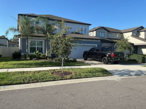 Lawn Services Brandon Fl 1980