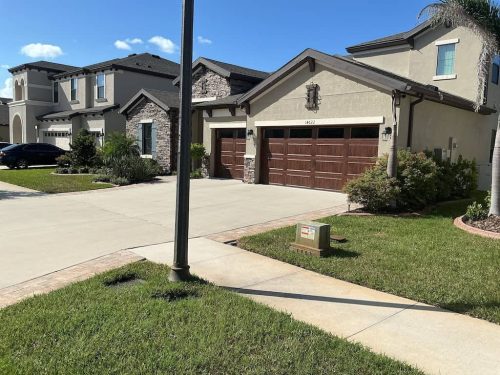 Lawn Services Brandon Fl 1981