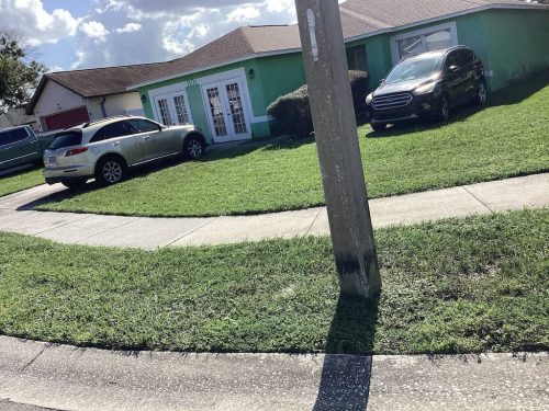 Lawn Services Brandon Fl 1988