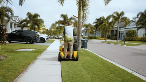 Lawn Services Brandon FL 199