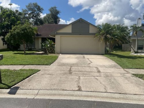 Lawn Services Brandon Fl 1994