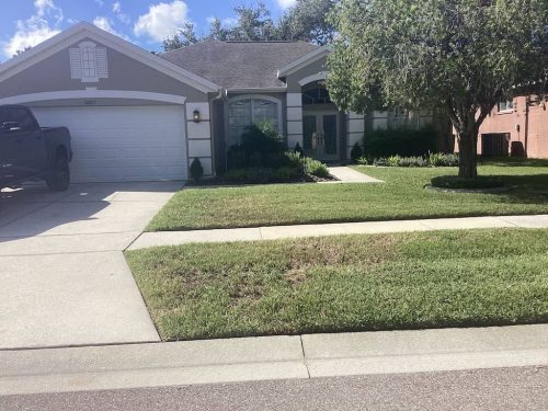 Lawn Services Brandon Fl 1995