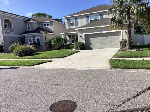 Lawn Services Brandon Fl 1998