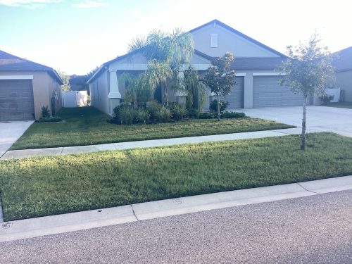 Lawn Services Brandon Fl 20