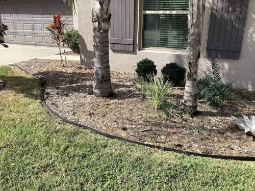 Lawn Services Brandon Fl 2003