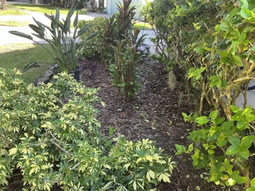 Lawn Services Brandon Fl 2010