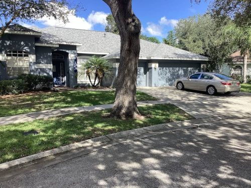 Lawn Services Brandon Fl 2013