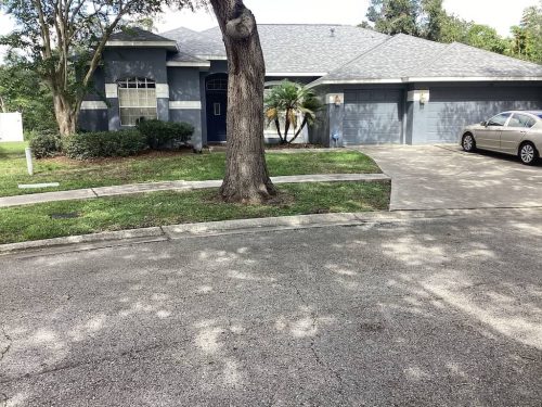 Lawn Services Brandon Fl 2015