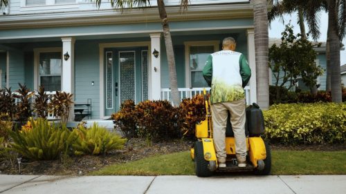 Lawn Services Brandon FL 202