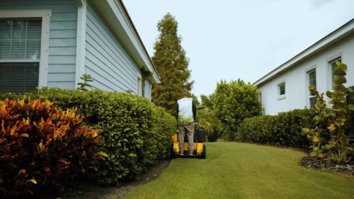 Lawn Services Brandon FL 205