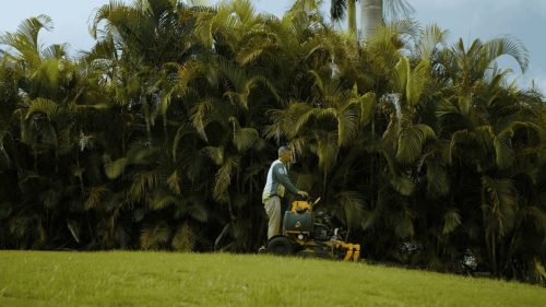 Lawn Services Brandon FL 209