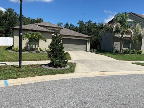 Lawn Services Brandon Fl 21