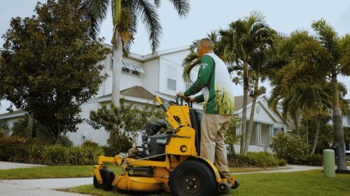 Lawn Services Brandon FL 210