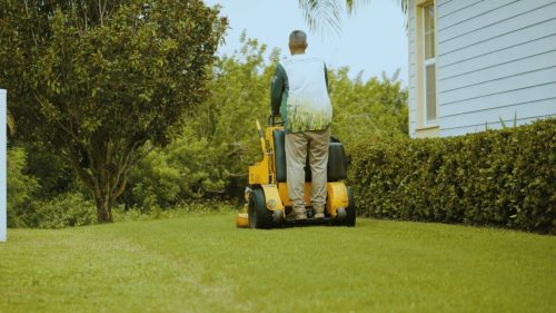 Lawn Services Brandon FL 219