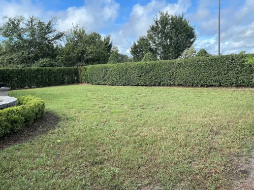 Lawn Services Brandon Fl 22