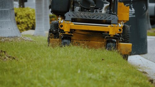 Lawn Services Brandon FL 221