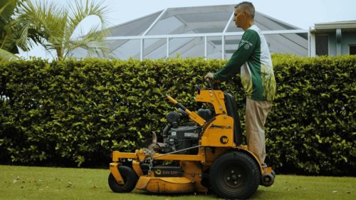 Lawn Services Brandon FL 227