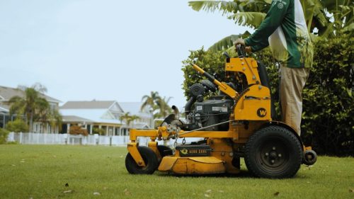Lawn Services Brandon FL 228