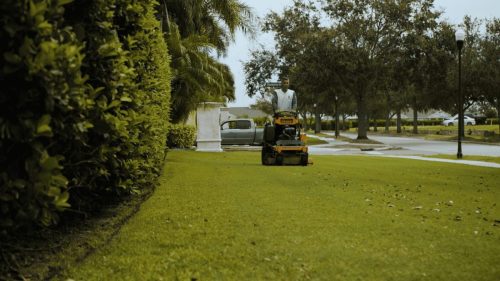 Lawn Services Brandon FL 229