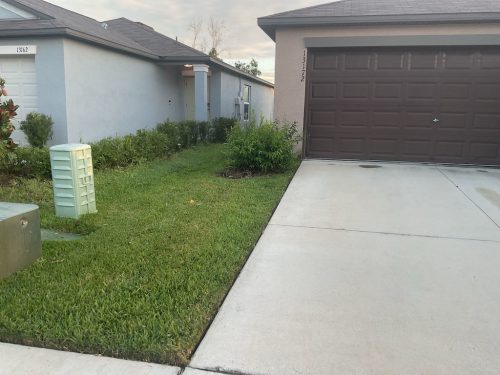 Lawn Services Brandon Fl 23