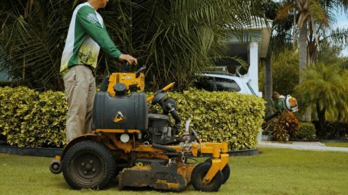Lawn Services Brandon FL 231