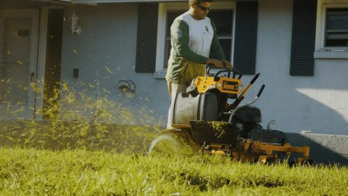 Lawn Services Brandon FL 233
