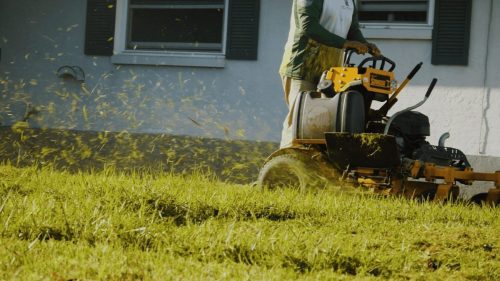 Lawn Services Brandon FL 234