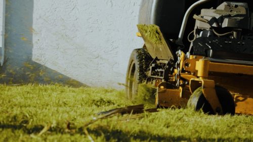 Lawn Services Brandon FL 235