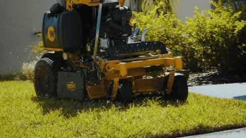 Lawn Services Brandon FL 238