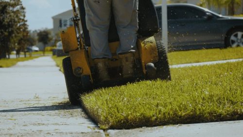 Lawn Services Brandon FL 239