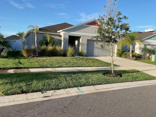 Lawn Services Brandon Fl 24