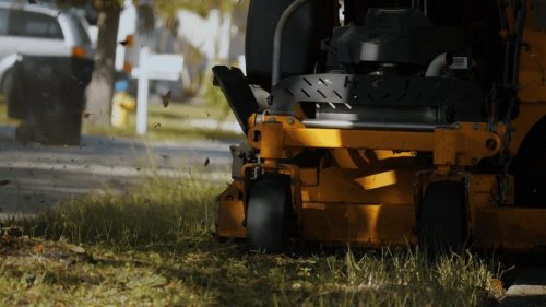 Lawn Services Brandon FL 246