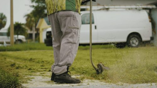 Lawn Services Brandon FL 249
