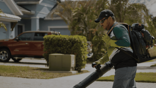 Lawn Services Brandon FL 25