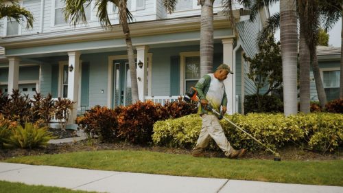 Lawn Services Brandon FL 252