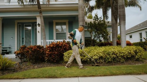 Lawn Services Brandon FL 253