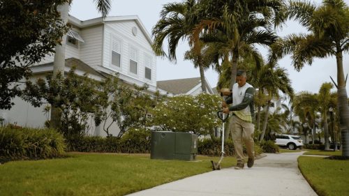 Lawn Services Brandon FL 257
