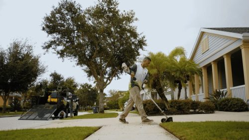 Lawn Services Brandon FL 258