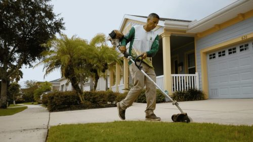 Lawn Services Brandon FL 259