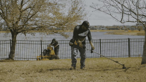 Lawn Services Brandon FL 26
