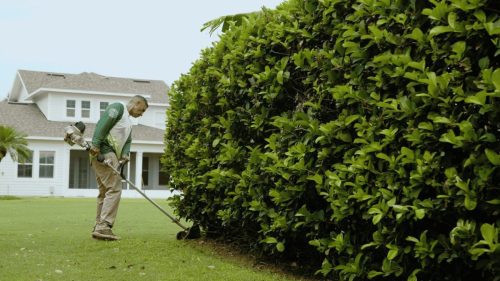 Lawn Services Brandon FL 260