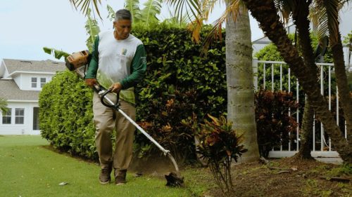 Lawn Services Brandon FL 262