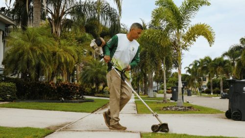 Lawn Services Brandon FL 266