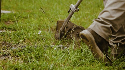Lawn Services Brandon FL 267