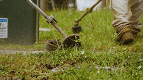 Lawn Services Brandon FL 269