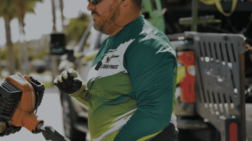 Lawn Services Brandon FL 27