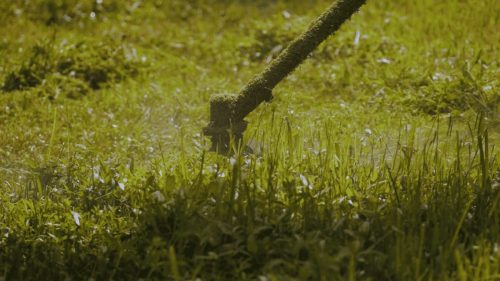 Lawn Services Brandon FL 273