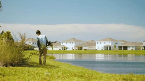 Lawn Services Brandon FL 288