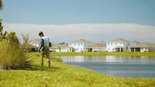 Lawn Services Brandon FL 289